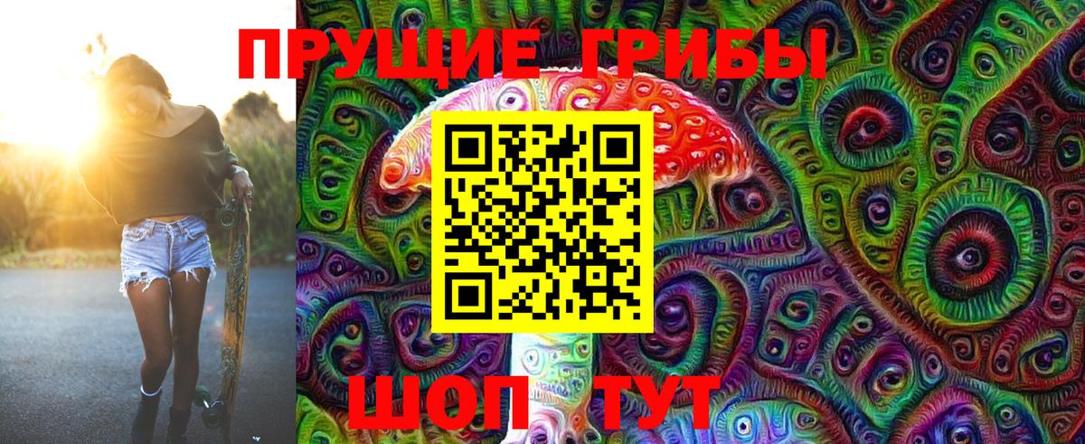 Нижнекамск  Галлюциногенные грибы Psilocybine cubensis  Галлюциногенные грибы прущие грибы  дарнет шоп  Вход с VPN 
