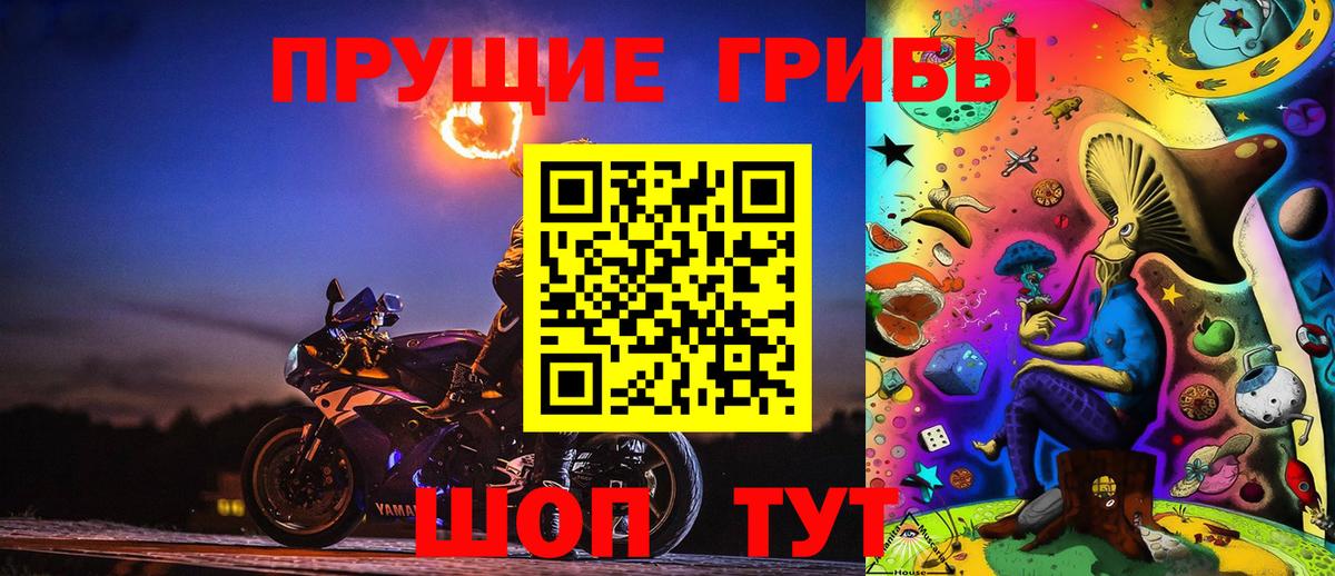 Псилоцибиновые грибы Psilocybe Нижнекамск